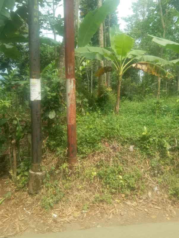 dijual tanah ciptaharja