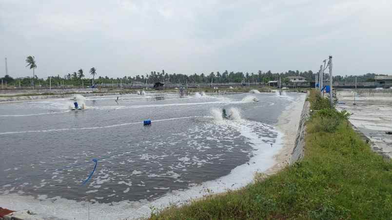 dijual tanah desa agel kec jangkar kab