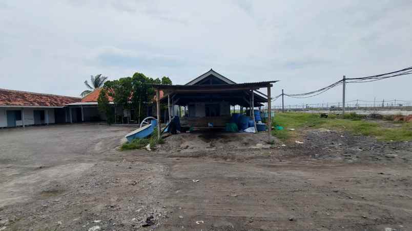 dijual tanah desa agel kec jangkar kab