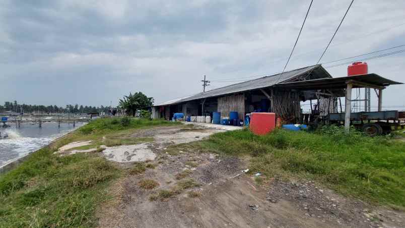 dijual tanah desa agel kec jangkar kab