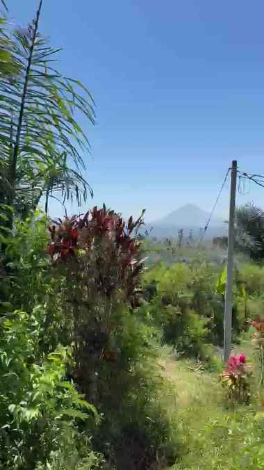 dijual tanah desa antapan kec baturiti