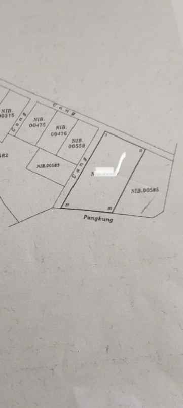 dijual tanah desa bajra kec selemadeg