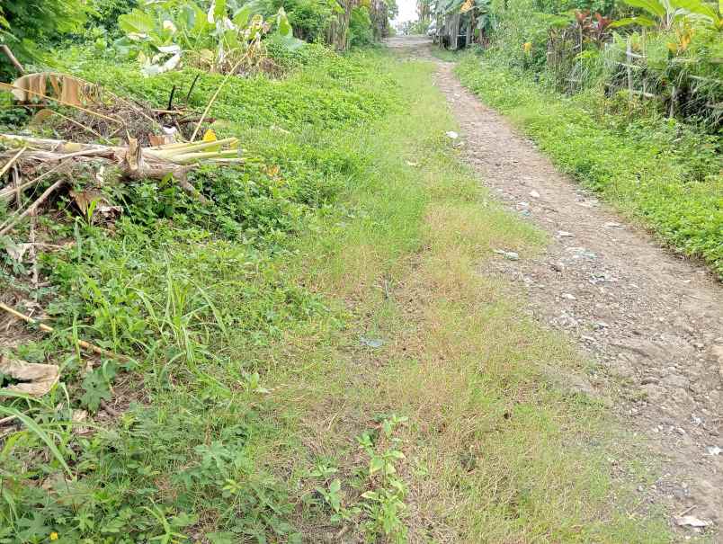 dijual tanah desa bajra kec selemadeg