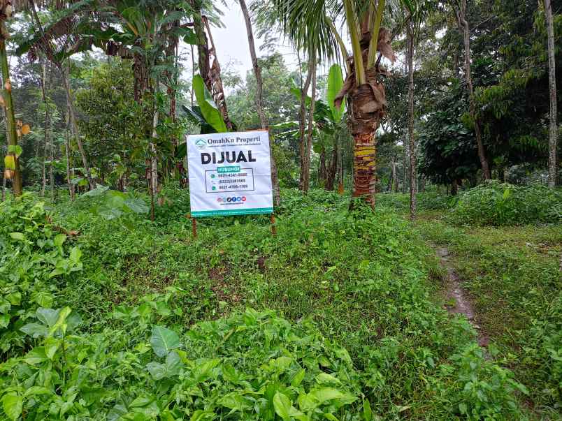 dijual tanah desa taman suruh kec