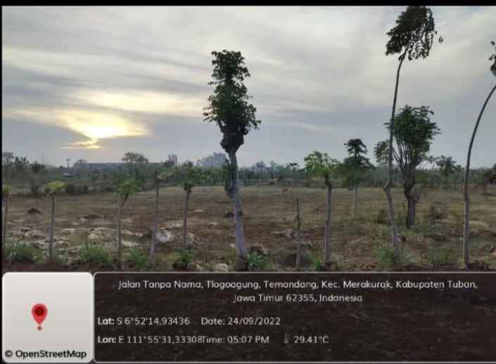 dijual tanah desa temandang kevamatan