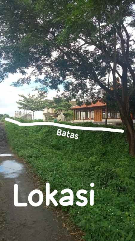 dijual tanah di lokasi wisata tebing breksi yogya
