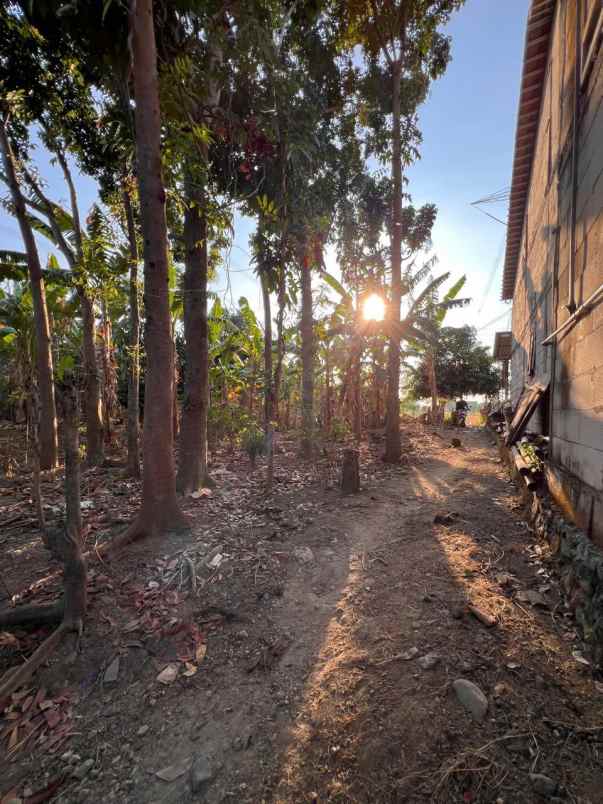 dijual tanah dijual tanah di desa