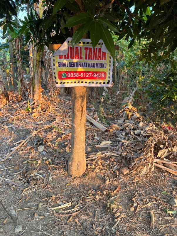dijual tanah dijual tanah di desa
