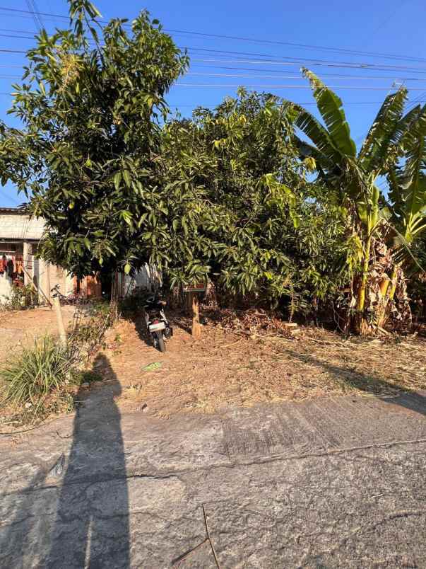 dijual tanah dijual tanah di desa