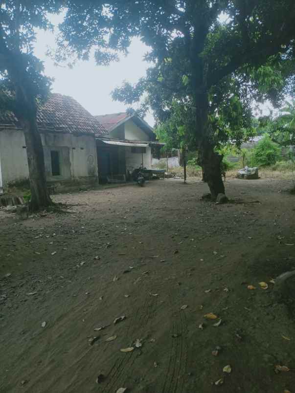 dijual tanah dijual tanah di jln pb