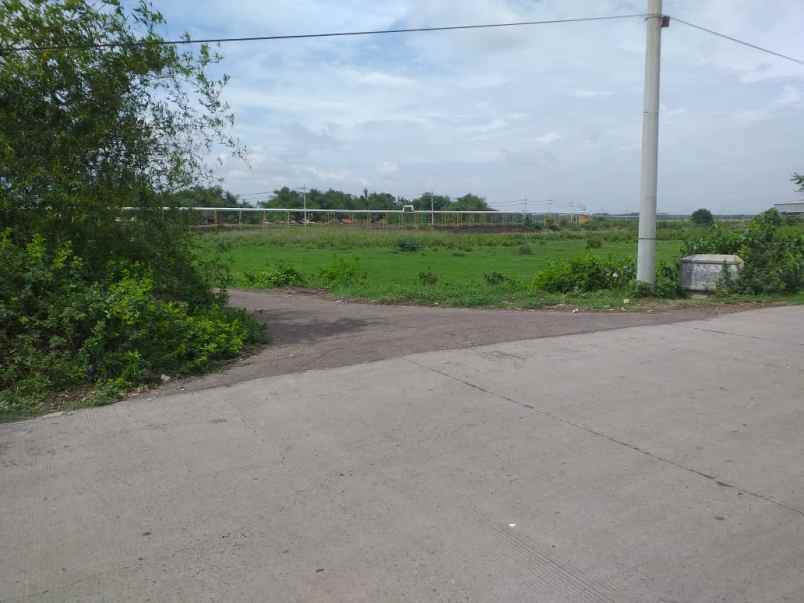 dijual tanah dsn sebani tanjang ngono