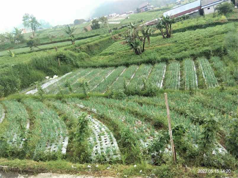 dijual tanah istimewa tawangmangu karanganyar