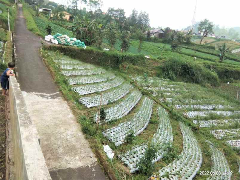 dijual tanah istimewa tawangmangu karanganyar