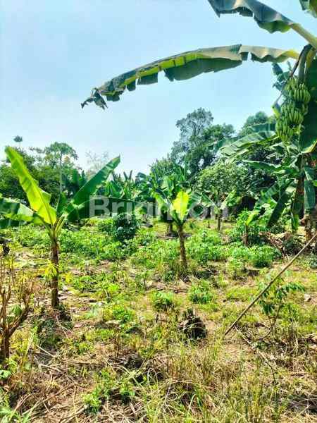 dijual tanah jagakarsa jakarta selatan