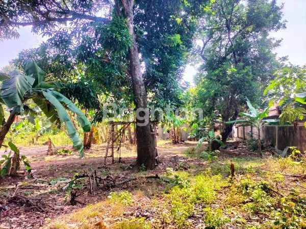 dijual tanah jagakarsa jakarta selatan