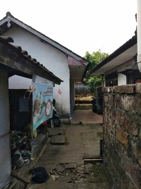 dijual tanah jalan kenyeri denpasar bali