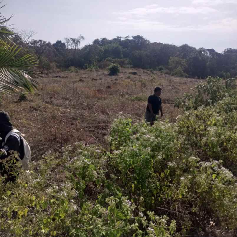 dijual tanah jalan pantura menuju danau