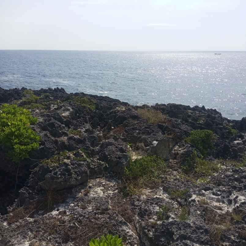 dijual tanah jalan pantura menuju danau