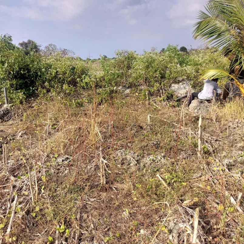 dijual tanah jalan pantura menuju danau