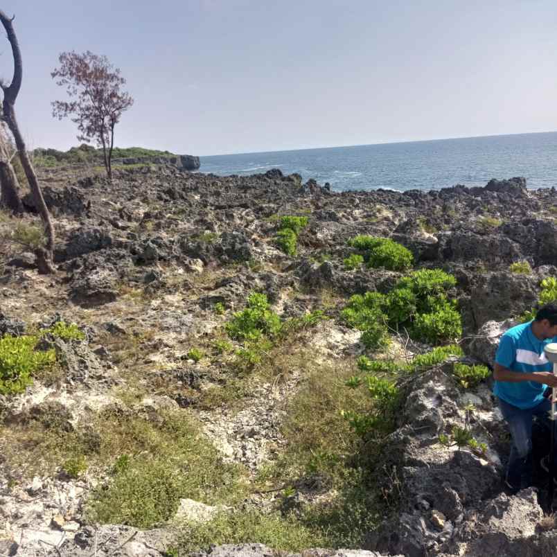 dijual tanah jalan pantura menuju danau