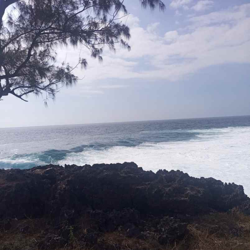 dijual tanah jalan pantura menuju danau