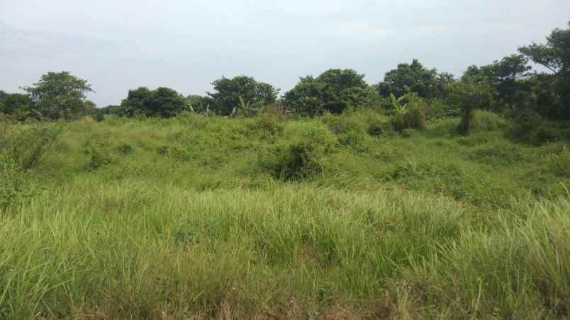 dijual tanah jalan ujungjaya cikamurang