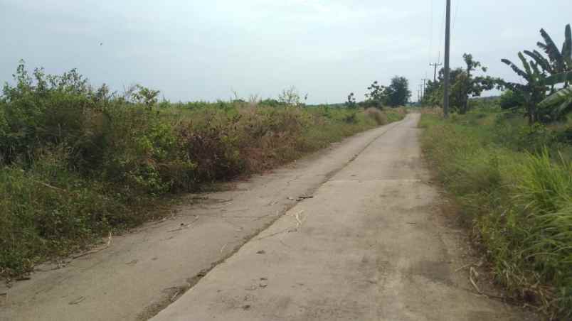 dijual tanah jalan ujungjaya cikamurang