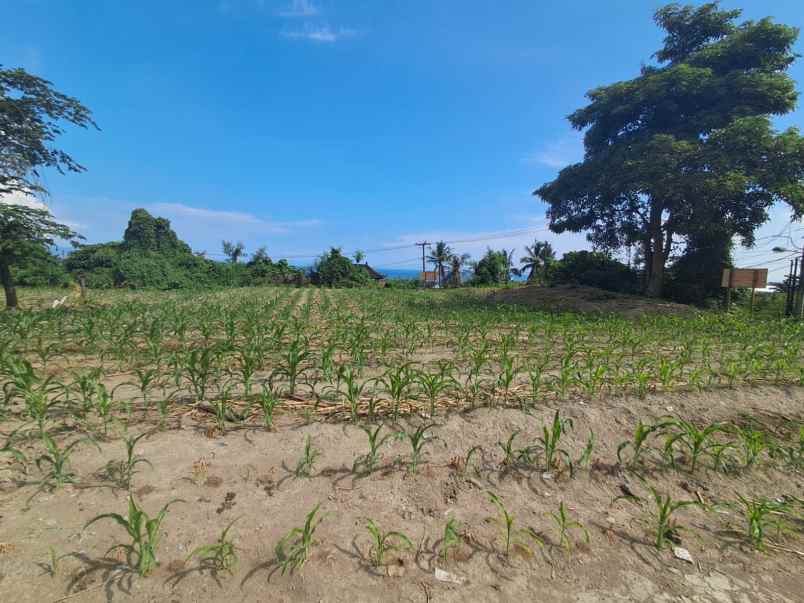 dijual tanah jl banjar siyut tulikup