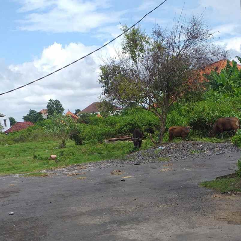 dijual tanah jl bidadari gn athena i