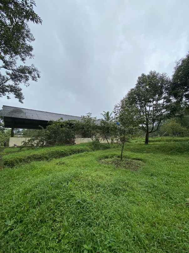 dijual tanah jl cibalung cijeruk bogor