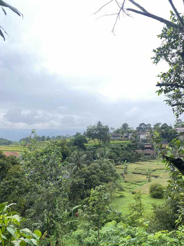 dijual tanah jl cibalung cijeruk bogor