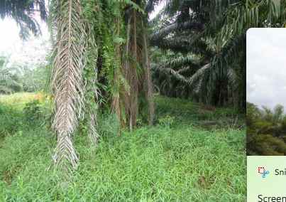 dijual tanah jl desa pangkalan benteng