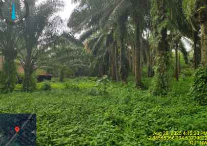 dijual tanah jl desa pangkalan benteng