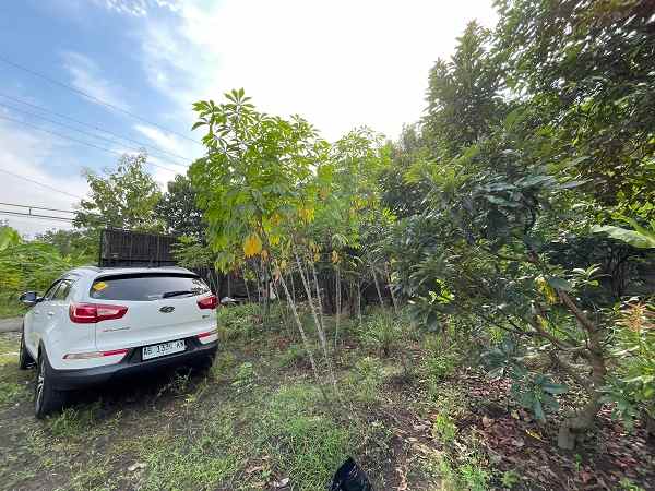 dijual tanah jl palagan km 10 rejodani