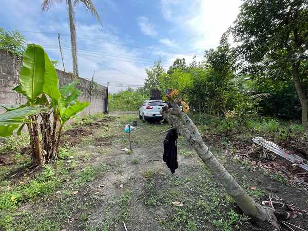 dijual tanah jl palagan km 10 rejodani
