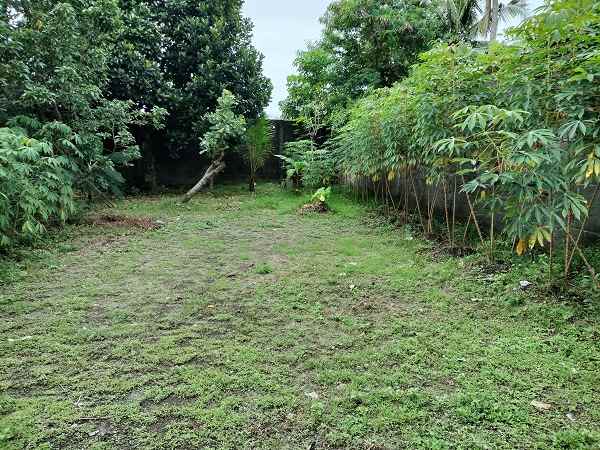 dijual tanah jl palagan km 10 rejodani