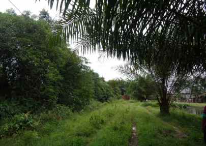 dijual tanah jl pangkalan benteng desa