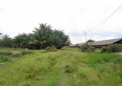 dijual tanah jl pangkalan benteng desa