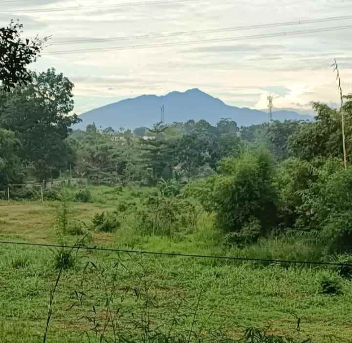 dijual tanah jl raya arco desa citayam