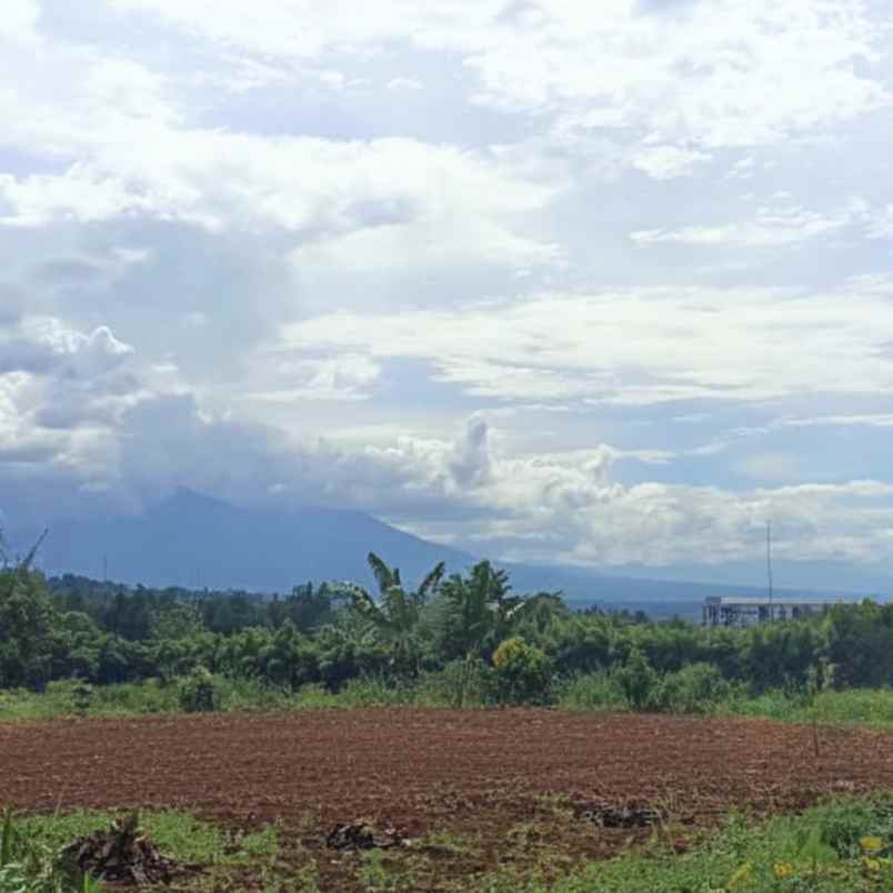 dijual tanah jl raya bojong koneng