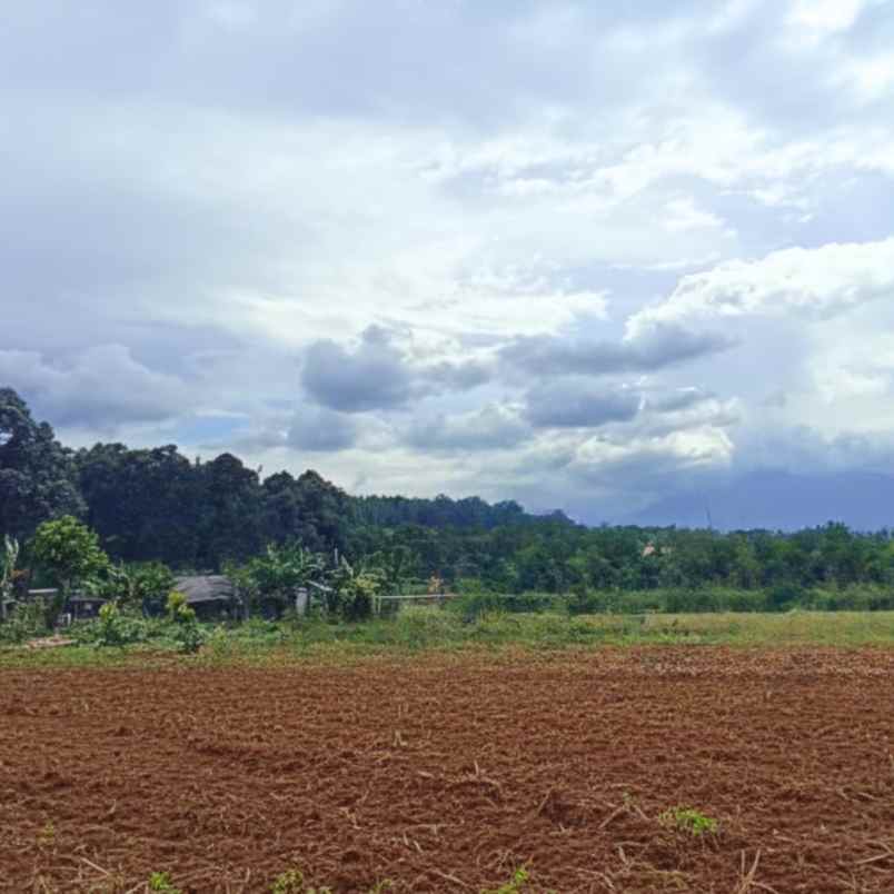 dijual tanah jl raya bojong koneng
