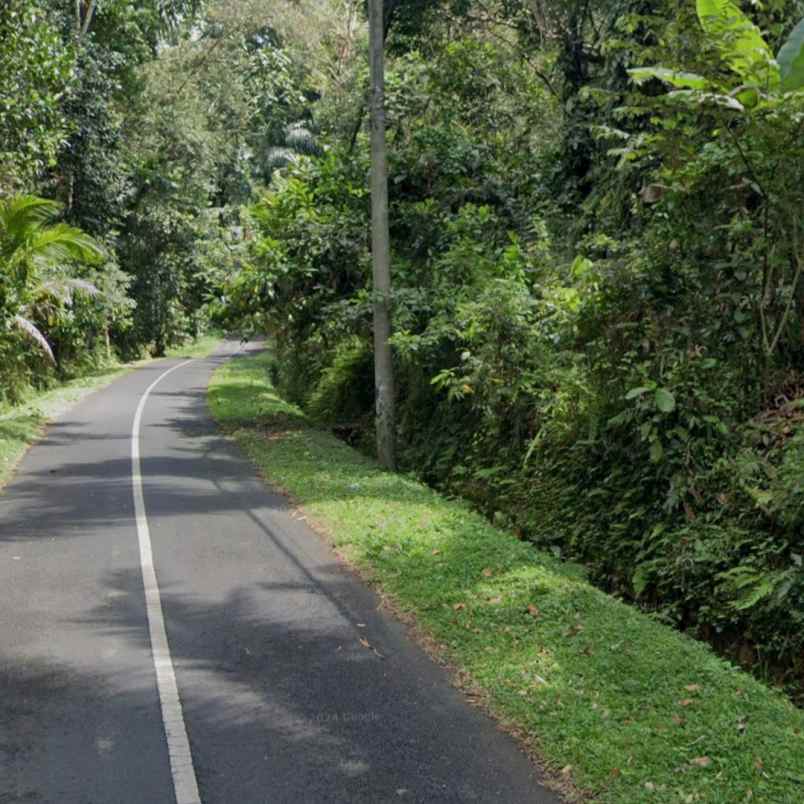 dijual tanah jl sedap malam br ketagon