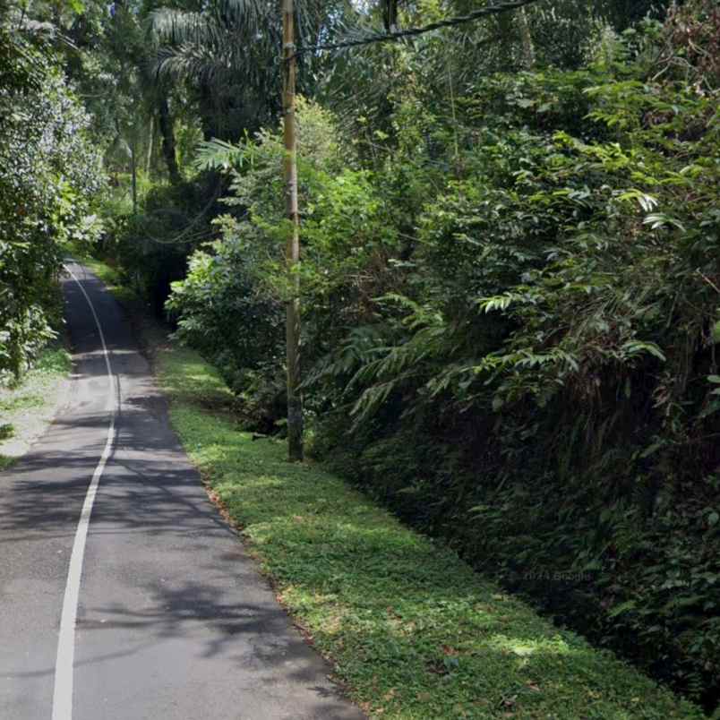 dijual tanah jl sedap malam br ketagon