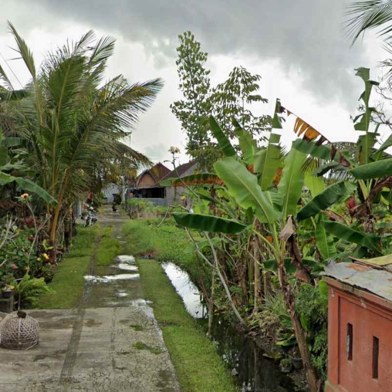 dijual tanah jln i wayan teruna