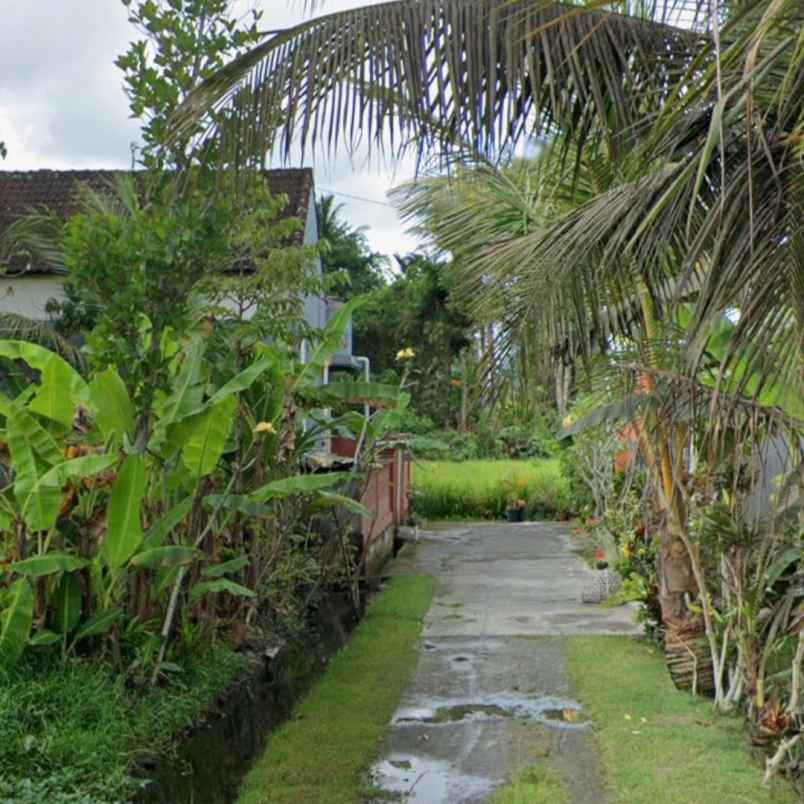 dijual tanah jln i wayan teruna