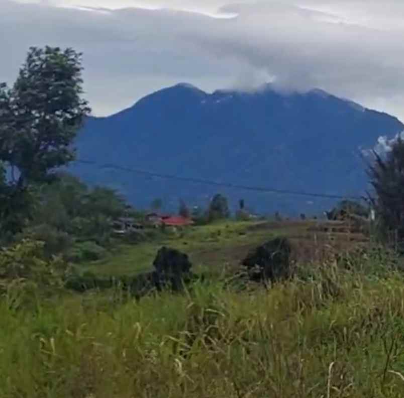 dijual tanah kintamani bangli bali