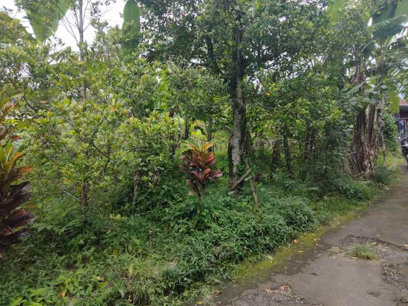 dijual tanah linggasana linggarjati