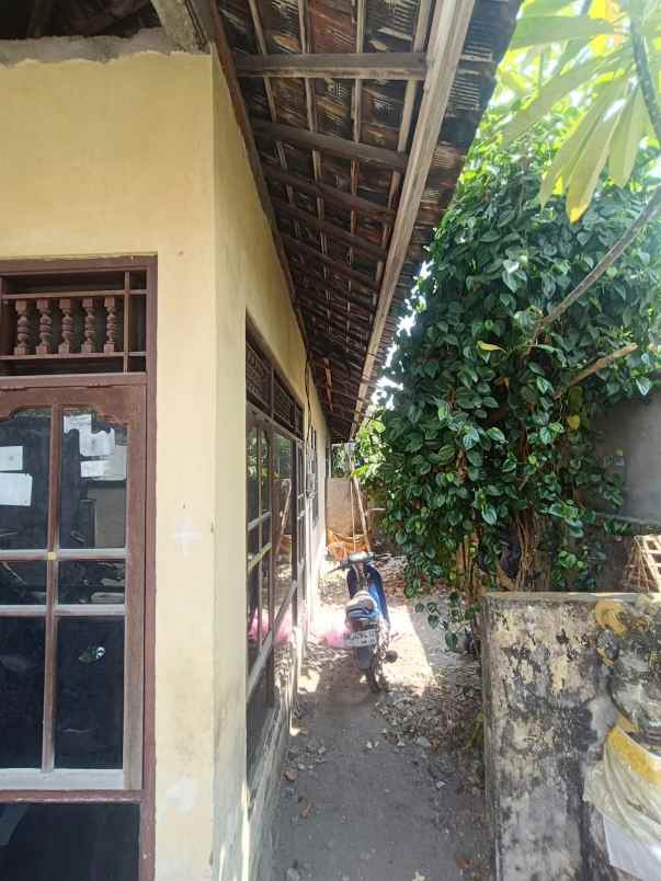 dijual tanah lokasi jalan nangka selatan