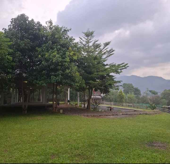 dijual tanah margahurip