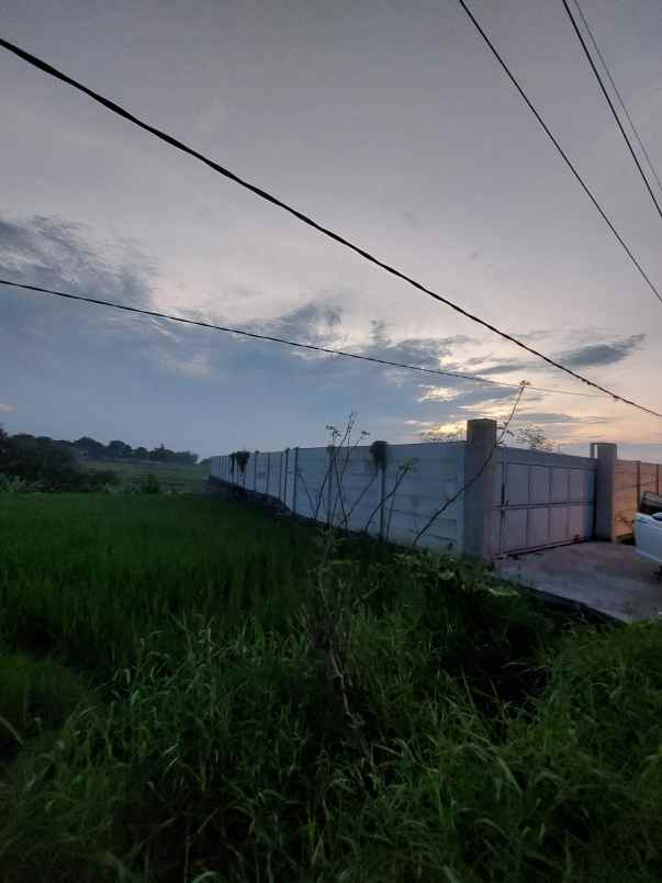 dijual tanah margorejo centong gondang